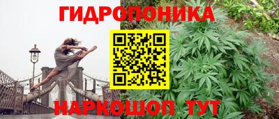 ECSTASY Нальчик