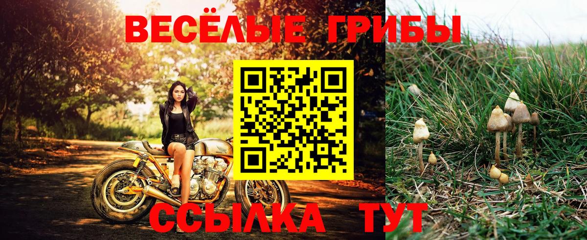 Галлюциногенные грибы Cubensis  Вход с VPN  Галлюциногенные грибы Cubensis  Татарск 