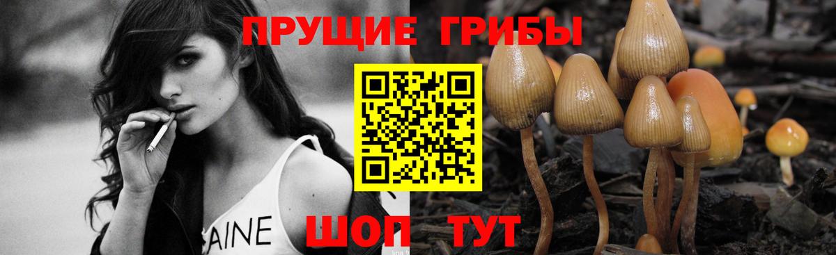 Псилоцибиновые грибы прущие грибы Татарск